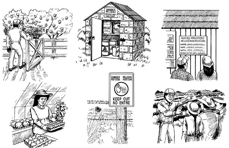 illustration of farm workers 